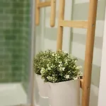 Minty Fresh * Lisboa