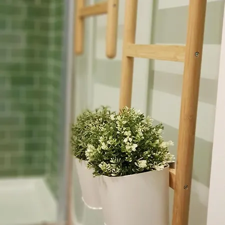 Minty Fresh * Lisbona